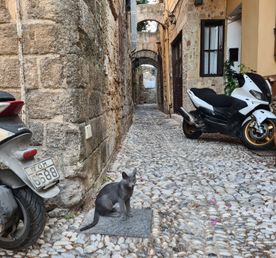 Острова Греции под парусами на катамаране