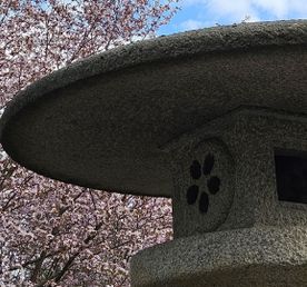 Японская весна в Петербурге