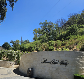 В Саусалито и Соному — из Сан-Франциско