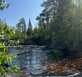 Сказочная Карелия из Спб за 3 дня в коттедже в мини-группе.