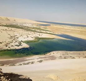 Оазис Эль-Файюм и Долина китов (от 1 до 5 человек)