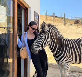 Юг Африки - Юар Замбия Зимбабве Ботсвана