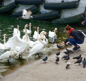 Другой Калининград