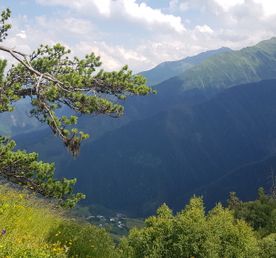 Западная Грузия Xxl