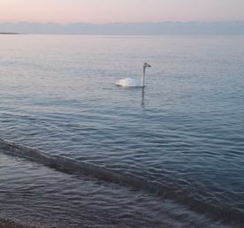 Киргизия вокруг Иссык-Куля