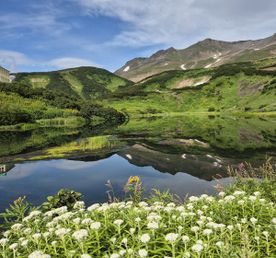 Ленивая Камчатка