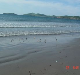 Тур выходного дня Остров Попова