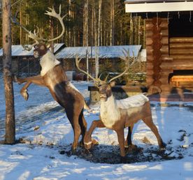 Снежная сказка: от Рускеалы до Талвиукко (мини-группа до 6 чел)