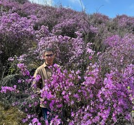 Туры на Алтай - по Чуйскому тракту до Алтайского Марса за 2 дня!