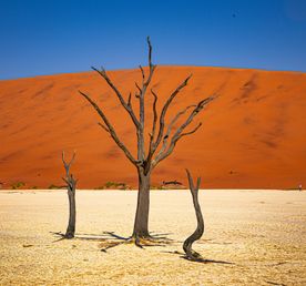 Намибия, Страна, Где Пески Пустыни
Встречаются С Атлантическим
Океаном