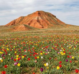 Луна и Марс: путешествие на Баскунчак и Богдо