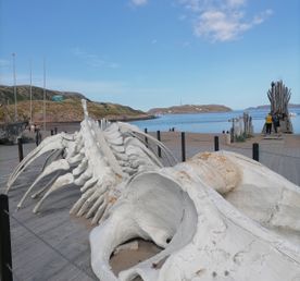 Кольский ближе, чем вам кажется!