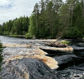 Сплав на байдарках по Керети и Белому морю