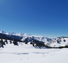 Плато Кок-Жайляу и водопад Батарейка
