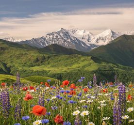 Тур в Чеченскую Республику. Всё Включено. Комфорт Плюс