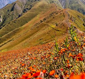 Пик Букреева (3010 м н.у.м.)