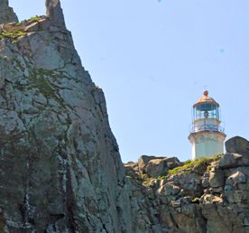 Морская экскурсия Полуостров Гамова + отдых на пляже - маяк, сосны и ларги