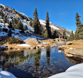 Поляна Терра и подвесной мост