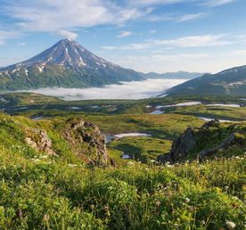 Максимум Камчатка. Комфорт Плюс