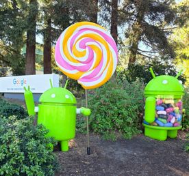 От холмов Сан-Франциско до кампуса Стэнфорда и хай-тека Долины