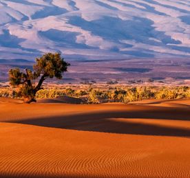 Тур в Намибию с сафари на 10 дней