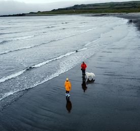 Полуострова Рыбачий и Средний, 3 дня на Кольском на максимуме!
