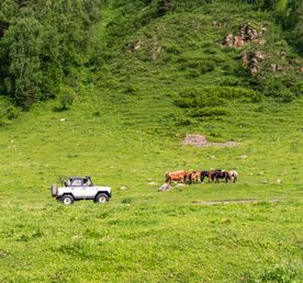 Погружение в Алтай: кони, сплав, трекинг/уазинг