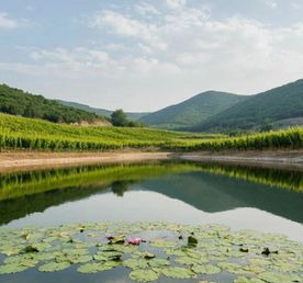 Гастрономический тур Вино&Море: Дыхание озер