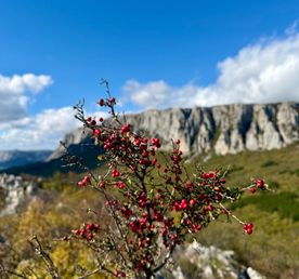 Биюк-Исар место, где скалы хранят эхо древних народов
