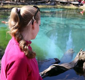 Алтайская кругосветка, группа до 5 человек