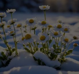 Ретрит Пробуждение