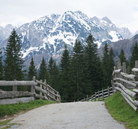 Горный Лагерь в Черногории