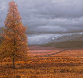 Золотая осень Алтая