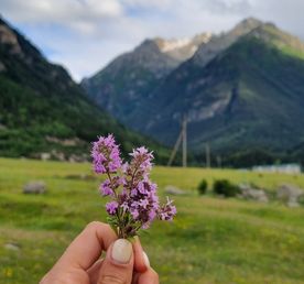 Домбай-Эльбрус: 5 ярких дней в горах!