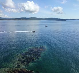 Приморский микс (лето)