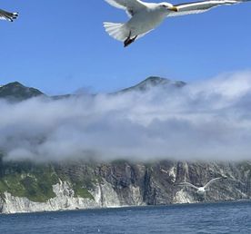 Камчатка по-максимуму! Киты и медведи. Все включено! С комфортом.