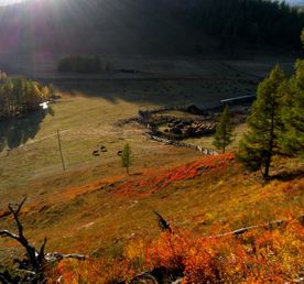 Все краски Алтая, 5 дней