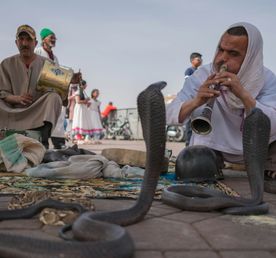 Марокко: Все самое главное
