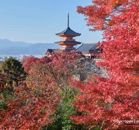 Япония: Погружение в историю и культуру самураев
