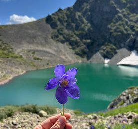 Алтай без границ
