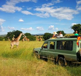 Великая миграция и вся Большая пятерка в лучших сафари Кении, Танзании и Занзибара