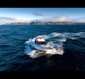 Териберка, Киты, Крабы, Баня. Всё Включено