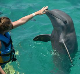 8 дней. 7 закатов. Телесные практики и гипноз на Мальдивах