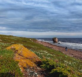 Лапландия Кольского полуострова: Терский берег и дикая природа севера