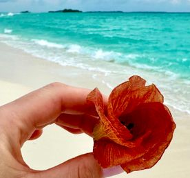 Активные Мальдивы по трем островам!