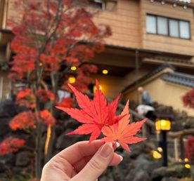 Шелест красного клёна. Япония