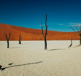 Таинственная Намибия: экспедиция между пустыней и океаном