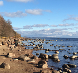 Белые ночи на Финском заливе