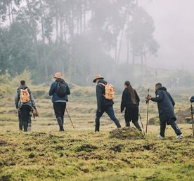 8 Days Kigali, Akagera And Volcanoes National Park Circuit