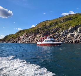 Китовые приключения